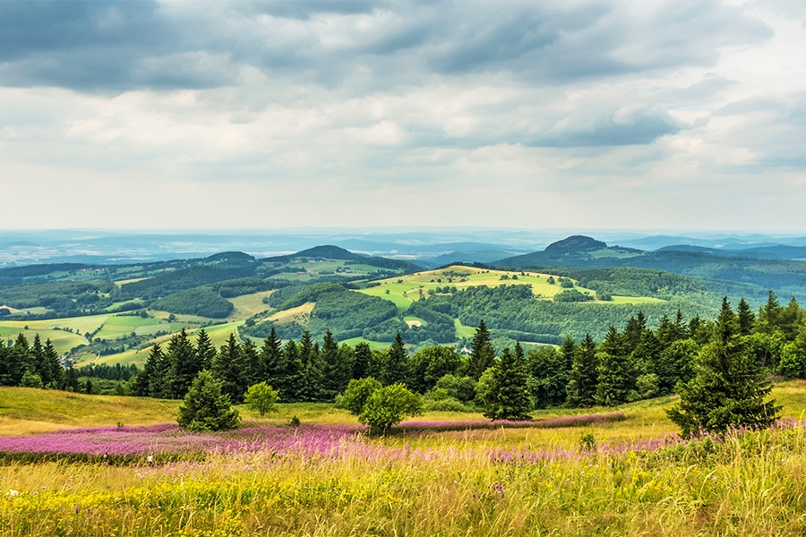Panorama mit hügeliger Landschaft, Wiesen und Wäldern.